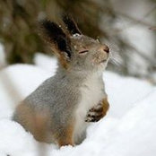 Elfa Barbarica's photo