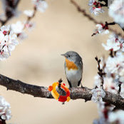 Foto de Эвелина Вышкин

