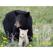 Kelly Hunt's photo