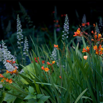 The Orangerie - Summer