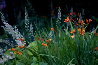 The Orangerie - Summer