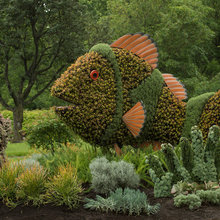 Grand design in vegetation