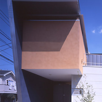 HOUSE IN INOGASHIRA