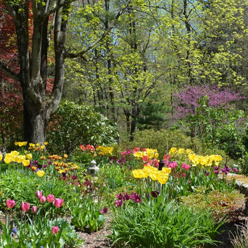 Spring Flowering Bulbs and Container Plantings