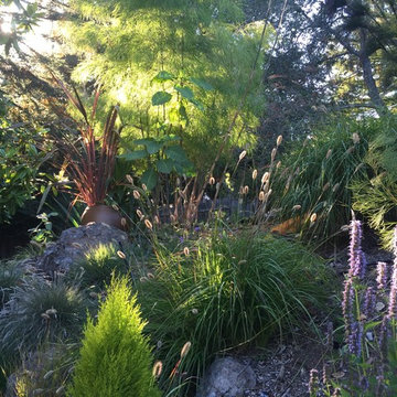 Kensington Collectors Garden