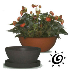 Poly Resin Flat Bottom Bowl - Outdoor Pots And Planters