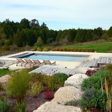 Priceville Paradise