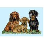 Betsy Drake - Dachshunds Door Mat 30x50 - These decorative floor mats are made with a synthetic, low pile washable material that will stand up to years of wear. They have a non-slip rubber backing and feature art made by artists Dick Hamilton and Betsy Drake of Betsy Drake Interiors. All of our items are made in the USA. Our small door mats measure 18x26 and our larger mats measure 30x50. Enjoy a colorful design that will last for years to come.
