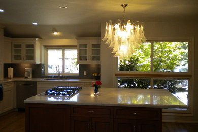 Kitchen - transitional kitchen idea in Los Angeles