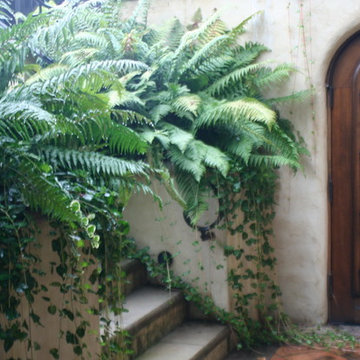 Vancouver, Shaughnessy Mediterranean Style Garden