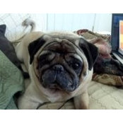 Jason Bailey's photo