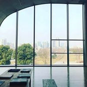 Foto von Qin Xu