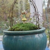 Ronna Moore's photo