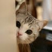 黄梦斯's photo