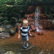 Nick Holt's photo