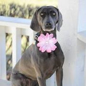 Jane Humphreys Ledford's photo