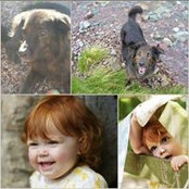 Foto von Zoe Rutherford