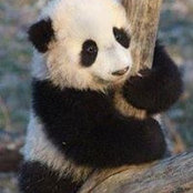 Laurie Roehm's photo