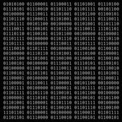 Mariana Ungaretti's photo
