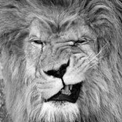 Karen Grigorian's photo