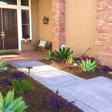 Carlsbad Bocce Ball and Kurapia Lawn