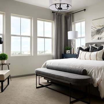 Tri Pointe Homes - Sterling Ranch 3504