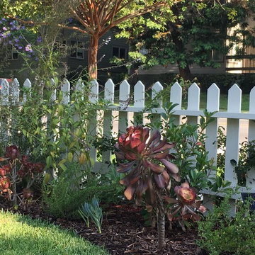 Front Yard with Expanded Beds for Privacy, Color, and Year Round Interest