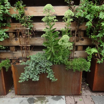 Boerum Hill Backyard