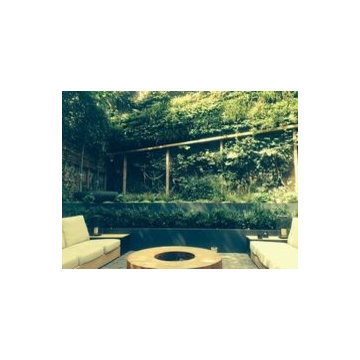 Notting Hill Living Wall