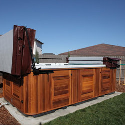 Swim Spas - Lifestyle And Leisure