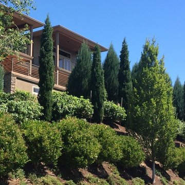 Columbia River View