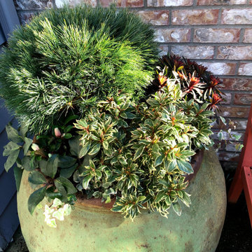 Winter Garden Containers
