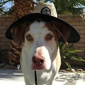 Sean McChesney's photo