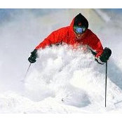 Jean-Francois Gagnon's photo