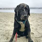 Dennis McGrath-Wagner's photo