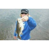 Wendy Hutton's photo