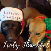 Margie Feeherty's photo
