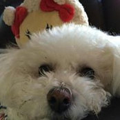 Photo de Cindy Pauley