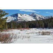 Walt Gasson's photo