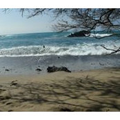 Foto von Hope Mathieson