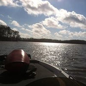 Alexander Davidson's photo