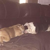 Michele Fricks's photo