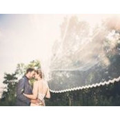 Lisa Whaley's photo