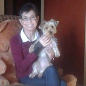 Foto von Rose-Ann Kinney