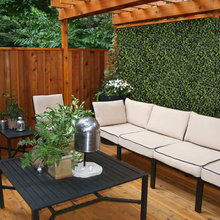 Boxwood wall