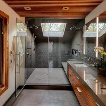 Spa-Inspired Modern Master Bath