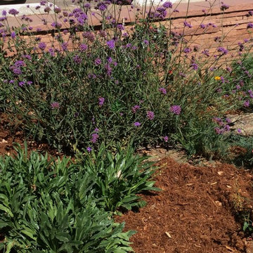 Town of Lyons Plaza Garden...