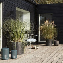 Landscape Ideas