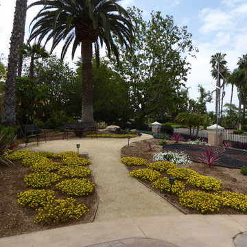 Lawn conversion in Fairbanks Ranch