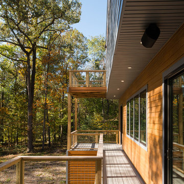 forest house